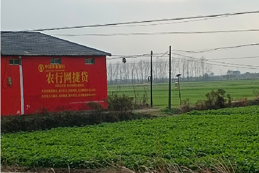 乐至如何防止墙体广告褪色呢?