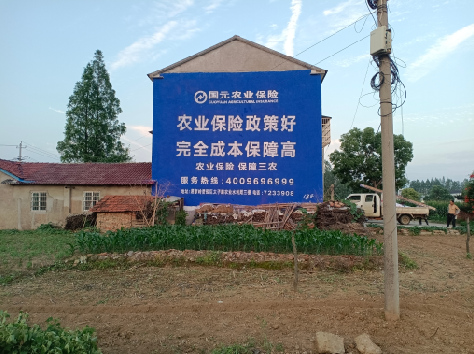 乐至墙体广告的优劣势你知道吗?